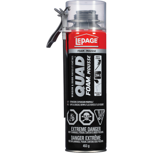 Quad&reg; Foam Window & Door Installation Foam, Aerosol Can, Tan Quali-T-Solutions