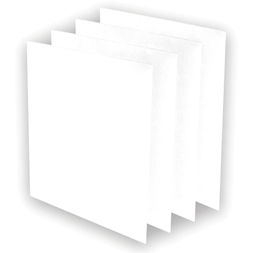 Pr&eacute;-filtres AeraMax Pro AM3 ou AM4, 13,75" la x 0,13" p x 14,38" h Quali-T-Solutions