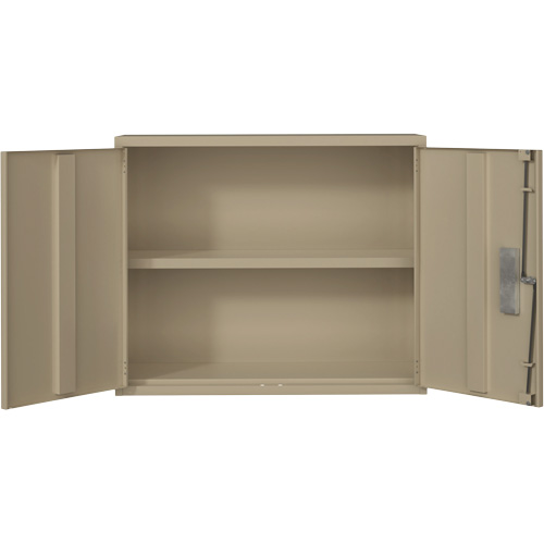 Armoire murale, Acier, 2 Tablettes, 30" h x 36" la x 12" P, Beige Quali-T-Solutions