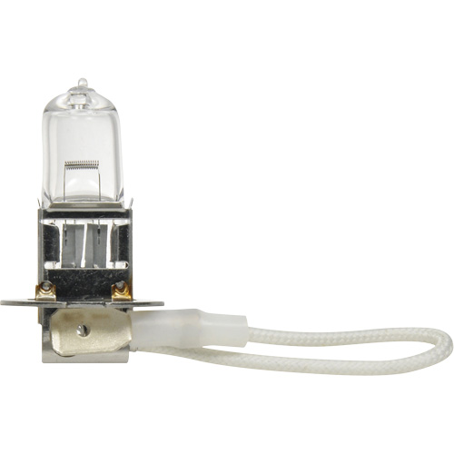 Ampoule de base pour feu avant H3, Halog&egrave;ne, 45 W, Blanc cass&eacute; Quali-T-Solutions