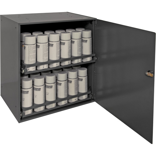 Armoire de rangement pour contenants a&eacute;rosol, Acier, 21-7/8" h x 15-15/16" la x 20-5/16" P, Gris Quali-T-Solutions