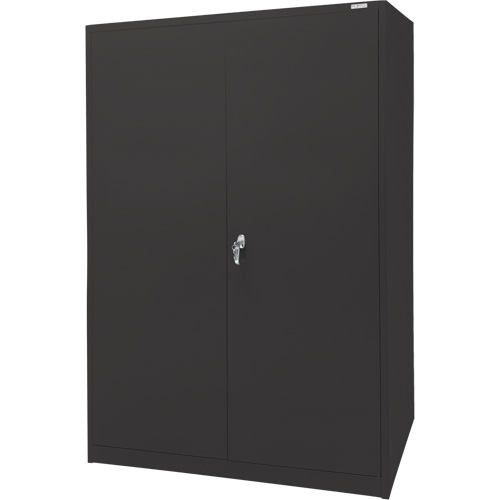Storage Cabinet, Steel, 4 Shelves, 78" H x 48" W x 24" D, Black Quali-T-Solutions