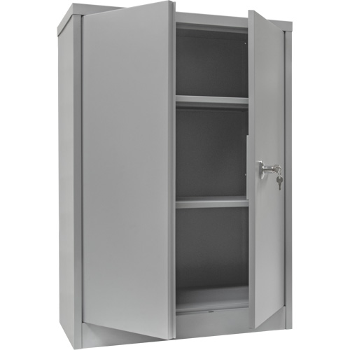 Armoire de rangement &agrave; hauteur de comptoir, Acier, 2 Tablettes, 42" h x 30" la x 15" P, Gris Quali-T-Solutions