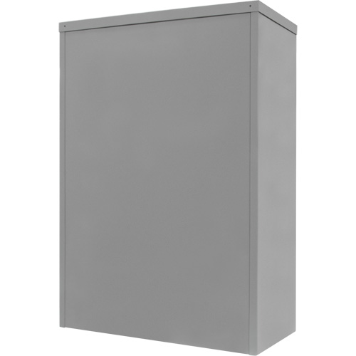 Armoire de rangement &agrave; hauteur de comptoir, Acier, 2 Tablettes, 42" h x 30" la x 15" P, Gris Quali-T-Solutions