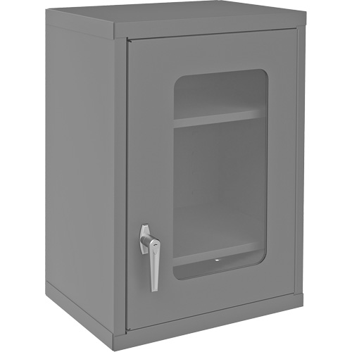 Wall-Mountable Storage Cabinet with Clearview Doors, 26-15/16" H x 18-1/8" W x 13-11/16" D, 2 Shelves, Steel, Grey Quali-T-Solutions