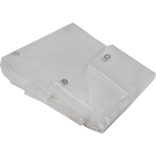 B&acirc;ches transparentes, 10' x 8' x 8 mils Quali-T-Solutions