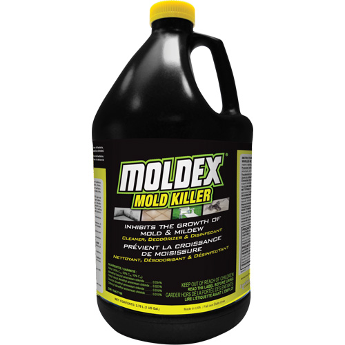 Moldex&reg; Mold Killer, 3.78 L, Jug Quali-T-Solutions