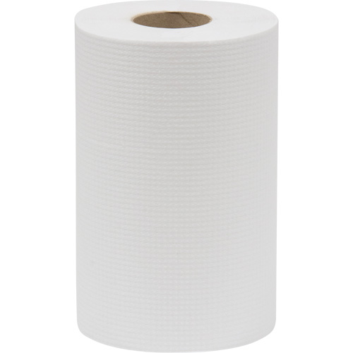 Rouleau d'essuie-tout Everest Pro, 1 pli, Standard, 300' lo Quali-T-Solutions