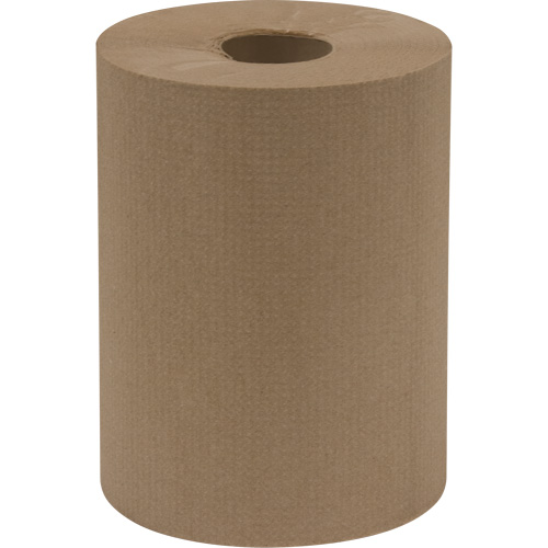 Everest Pro Paper Towel Rolls, 1 Ply, Standard, 425' L Quali-T-Solutions