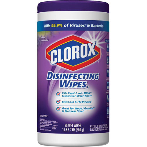 Disinfecting Wipes, 75 Count Quali-T-Solutions