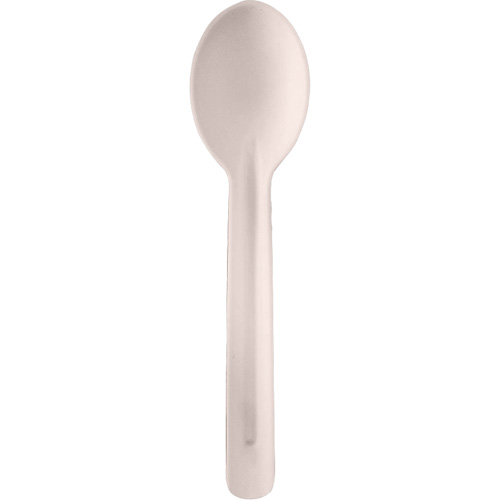 Bagasse Compostable Spoons Quali-T-Solutions