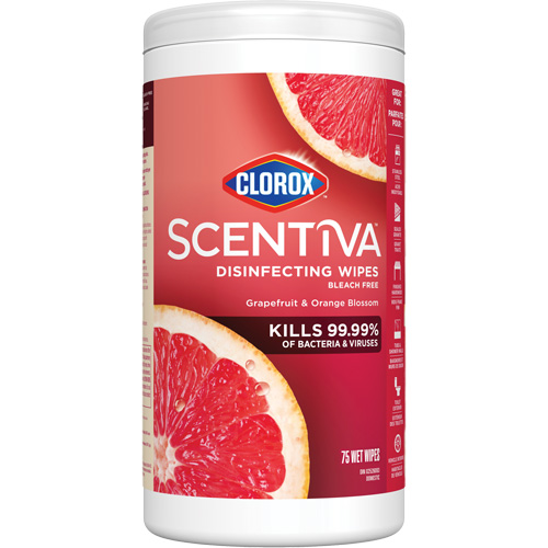 Disinfecting Wipes, 75 Count Quali-T-Solutions