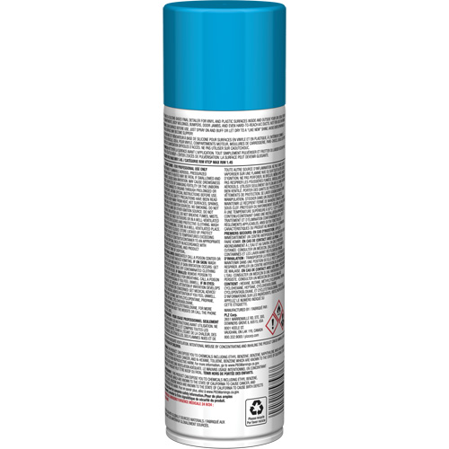 Pro Line Instant Shine for Plastic Surfaces, 11 oz., Aerosol Can Quali-T-Solutions