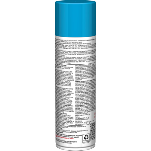 Pro Line Crazy Clean&reg; All Purpose Cleaner, 19 oz., Aerosol Can Quali-T-Solutions