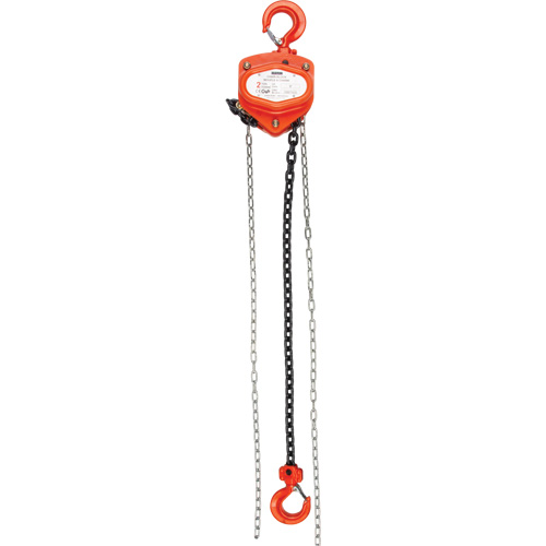 Chain Hoist, 10' Lift, 1000 lbs. (0.45 tons) Capacity, Alloy Steel Chain Quali-T-Solutions