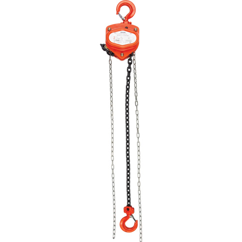 Chain Hoist, 20' Lift, 1000 lbs. (0.45 tons) Capacity, Alloy Steel Chain Quali-T-Solutions