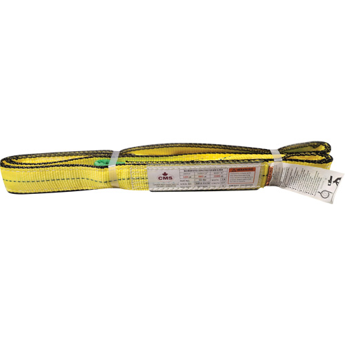 &eacute;lingue en sangle de polyester, Pli Double, Oeillets renvers&eacute;s, Type 4, 2" la x 8' lo, Capacit&eacute; verticale 6400 lb Quali-T-Solutions