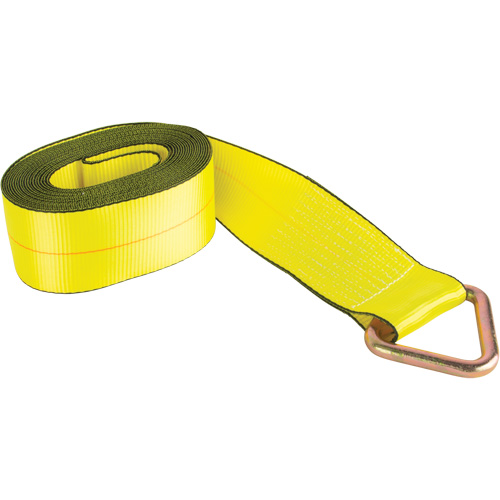 Logistic Strap, Delta Ring, 30' W x 4" L, 5400 lbs. (2449 kg) Working Load Limit Quali-T-Solutions