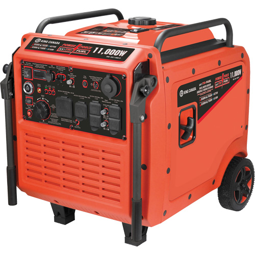 G&eacute;n&eacute;ratrice &agrave; onduleur et trois carburants Quali-T-Solutions
