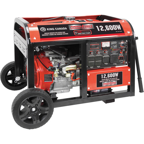 G&eacute;n&eacute;ratrice &agrave; essence &agrave; d&eacute;marreur &eacute;lectrique, 12600 W de surtension, 9000 W nominale, 120 V/240 V, R&eacute;servoir de 31 L Quali-T-Solutions