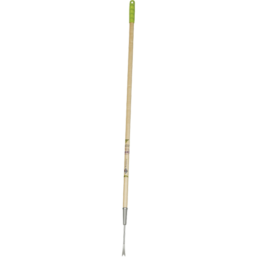 Dandelion Weeder Quali-T-Solutions