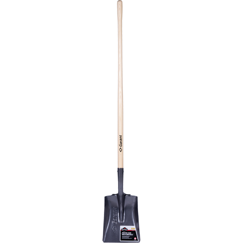 Pelle carr&eacute;e  Pro, Bois, Lame Acier durci, Manche en Droit, Longueur 48" Quali-T-Solutions