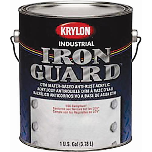 &eacute;mail industriel &agrave; base d'eau Iron Guard, Canette, Gris Quali-T-Solutions