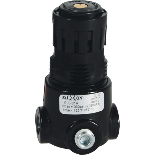 Wilkerson Miniature Regulator R03, 1/4" NPT, 300 psi Max. PSI, Standard Quali-T-Solutions
