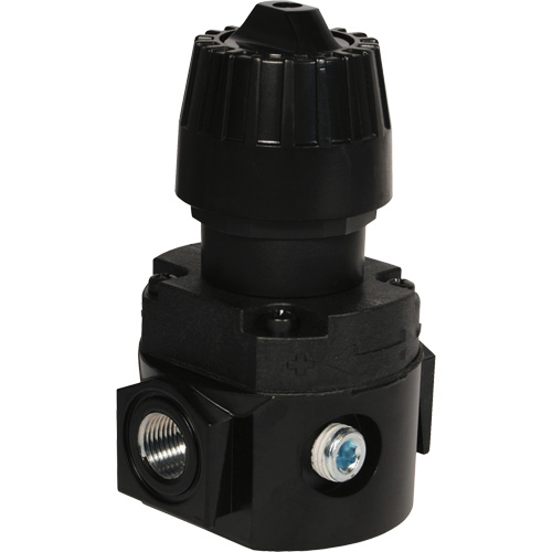 Wilkerson Compact Regulator R16, 1/4" NPT, 300 psi Max. PSI, Standard Quali-T-Solutions