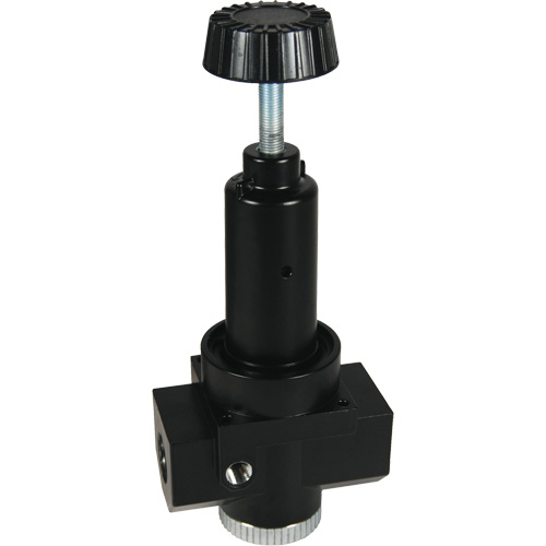 Wilkerson High Flow Regulator R30, 1" NPT, 300 psi Max. PSI, Standard Quali-T-Solutions