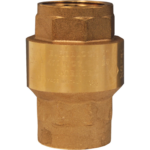 Horizontal Swing Check Valve Quali-T-Solutions