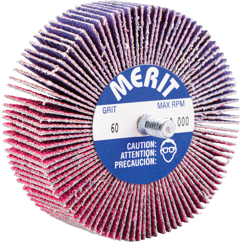 Threaded Mini Flap Wheel, Ceramic Alumina, 60 Grit, 3" x 1" x 1/4"-20 Quali-T-Solutions