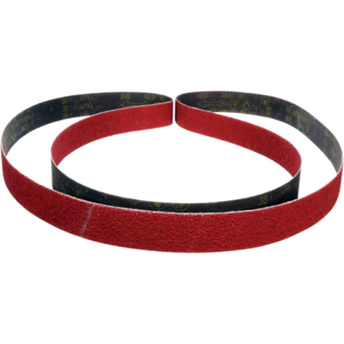 Cubitron II Abrasive Belt 984F, 2" W x 15-5/8" L, Ceramic, 36+ Grit Quali-T-Solutions
