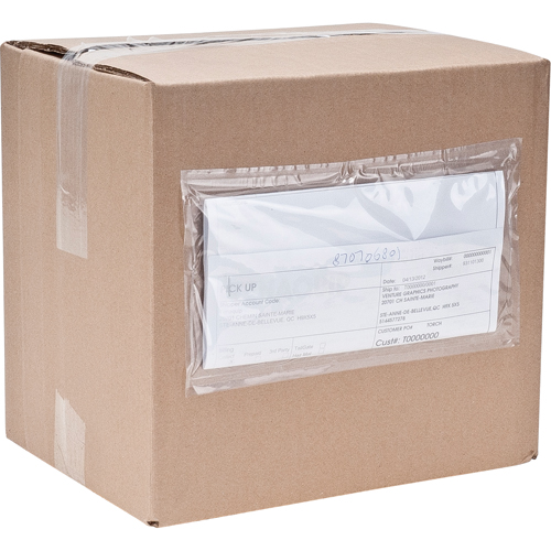 Packing List Envelopes, 4" L x 5" W, Endloading Style Quali-T-Solutions