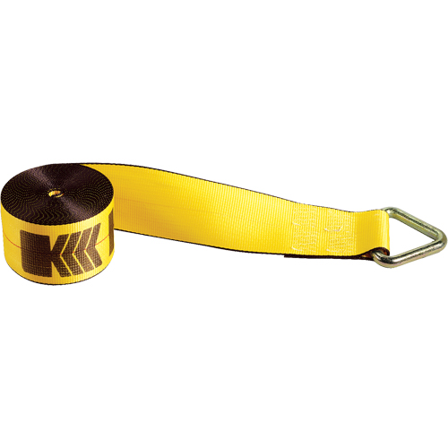 Winch Straps, Delta Ring, 4" W x 30' L, 5400 lbs. (2450 kg) Working Load Limit Quali-T-Solutions