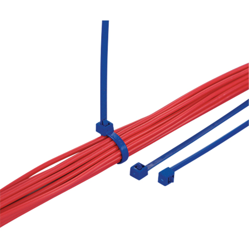 Attaches d&eacute;tectables pour c&acirc;bles, 15-2/5" lo, R&eacute;sistance &agrave; la traction 50 lb Quali-T-Solutions