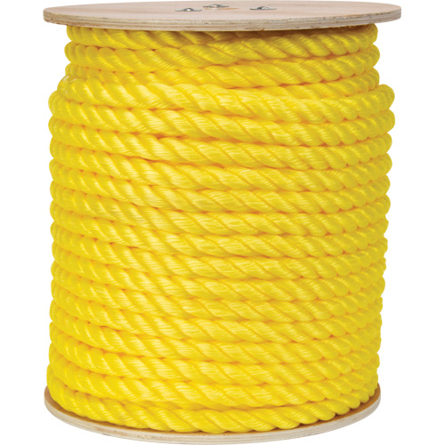 Corde jaune tress&eacute;e, Polypropyl&egrave;ne, 300' Quali-T-Solutions