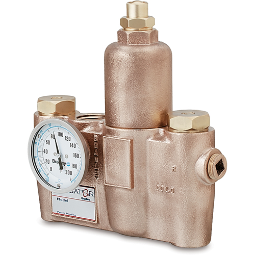 Vannes de m&eacute;lange thermostatiques, 19,5 gal./min Quali-T-Solutions