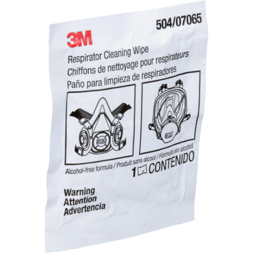 Respirator Cleaning Wipes, Wipes Quali-T-Solutions