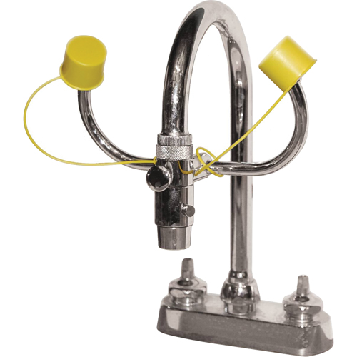 Eyewash Station, Sink Mount Installation Quali-T-Solutions