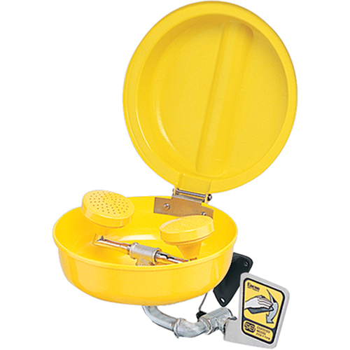 Douche oculaire/faciale avec couvercle, Installation Socle, Bol Plastique Quali-T-Solutions