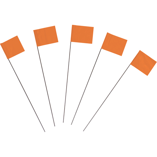 Marking Flags Quali-T-Solutions