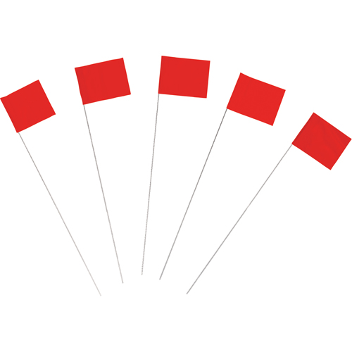 Marking Flags Quali-T-Solutions
