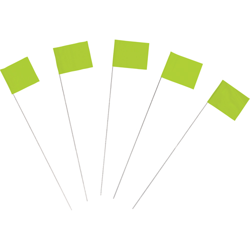 Marking Flags Quali-T-Solutions