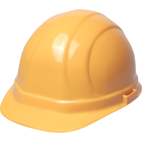 ERB Casque de s&eacute;curit&eacute; Omega II, R&eacute;pond aux normes CSA type 2, Suspension Rochet, Non ventil&eacute; Quali-T-Solutions