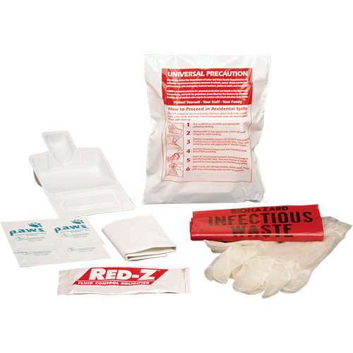 Fluid Spill Clean-Up Kit, Hazmat, Bag Quali-T-Solutions