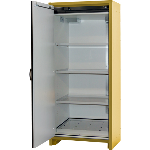 30-Minute EN Safety Storage Cabinet, 30 gal., 1 Door, 34.02" W x 76.65" H x 24.21" D Quali-T-Solutions