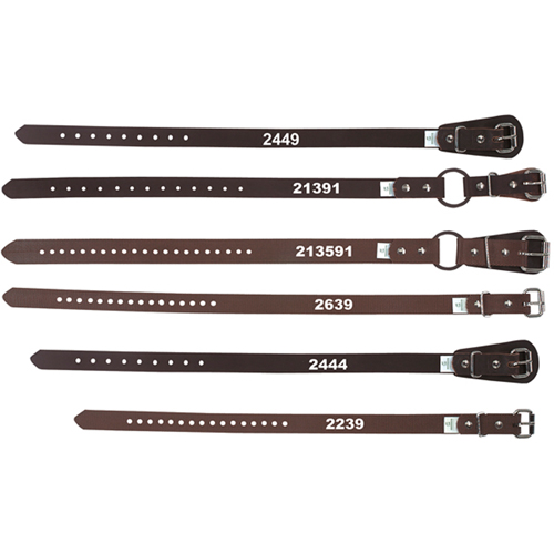 Climber's Ankle Straps Quali-T-Solutions