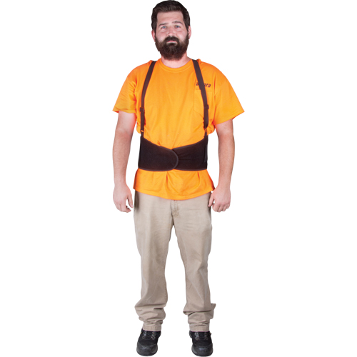 Back Support, Elastic, Small Quali-T-Solutions