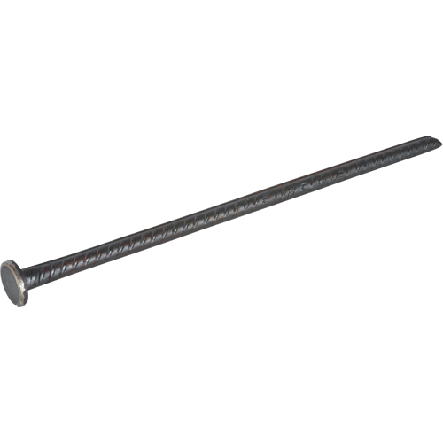 Rebar Spike Quali-T-Solutions